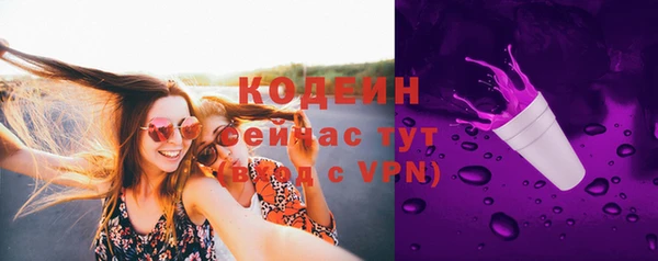 ГАЛЛЮЦИНОГЕННЫЕ ГРИБЫ Горняк
