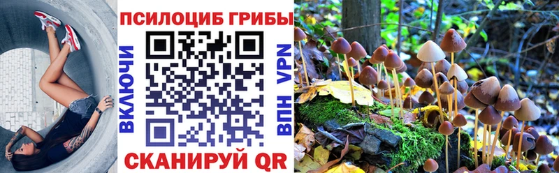 Галлюциногенные грибы ЛСД Можга