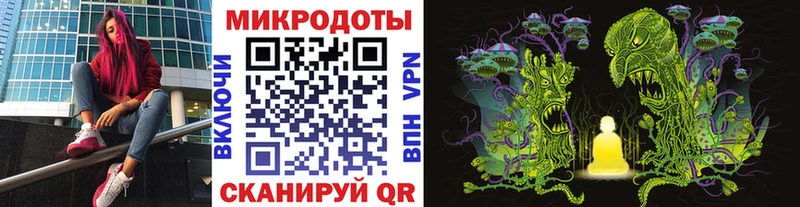 закладка Можга блэк спрут рабочий сайт Псилоцибиновые грибы Psilocybine cubensis