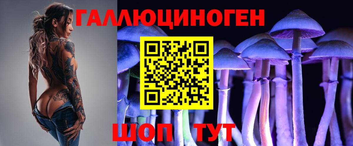 Можга  Псилоцибиновые грибы Cubensis  Вход с VPN 