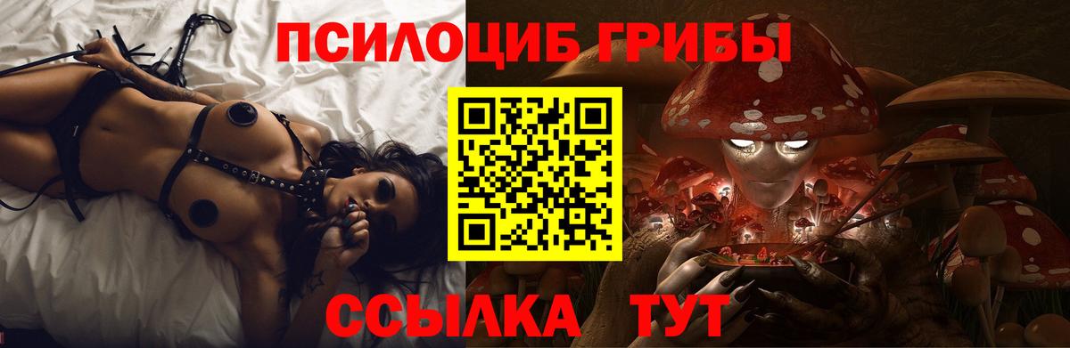 Галлюциногенные грибы мицелий Можга