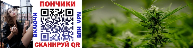 shop Telegram Можга Марихуана SATIVA & INDICA omg ТОР